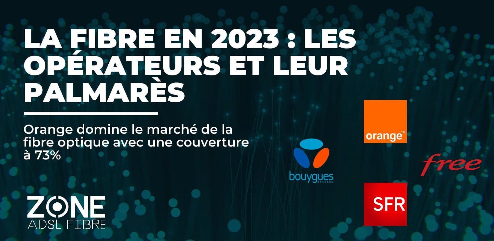taux de deploiement fibre palmares 2023