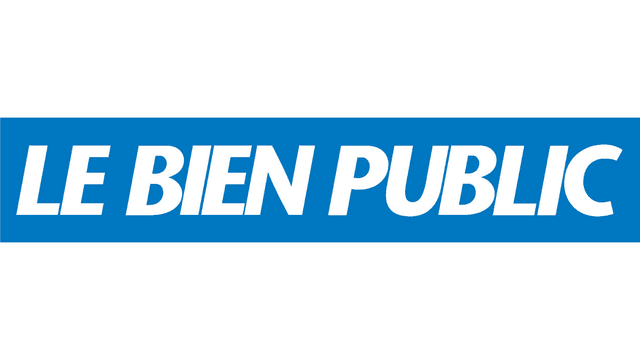 Logo de Free : une importante panne à Dijon et ses alentours sur le réseau fixe