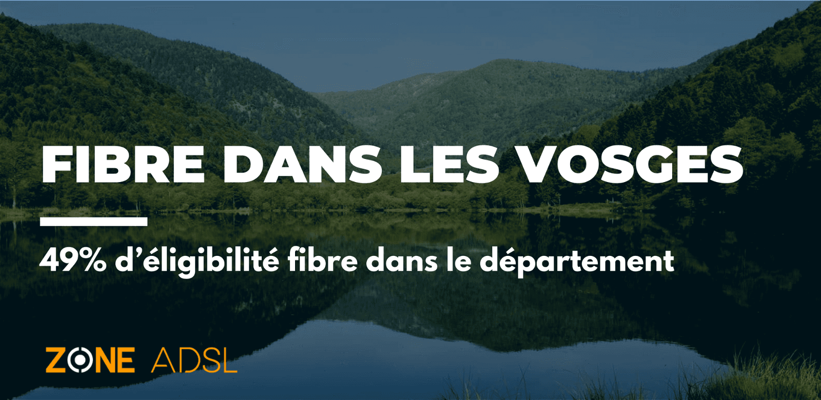 Fibre dans les Vosges